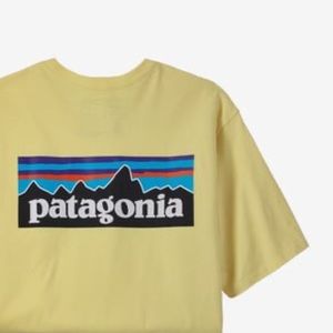Patagonia Responsibili-Tee